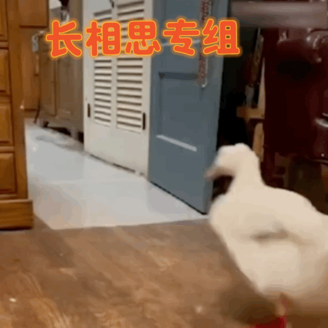 这图真是永远不过时。。[哈哈][哈哈] ​​​