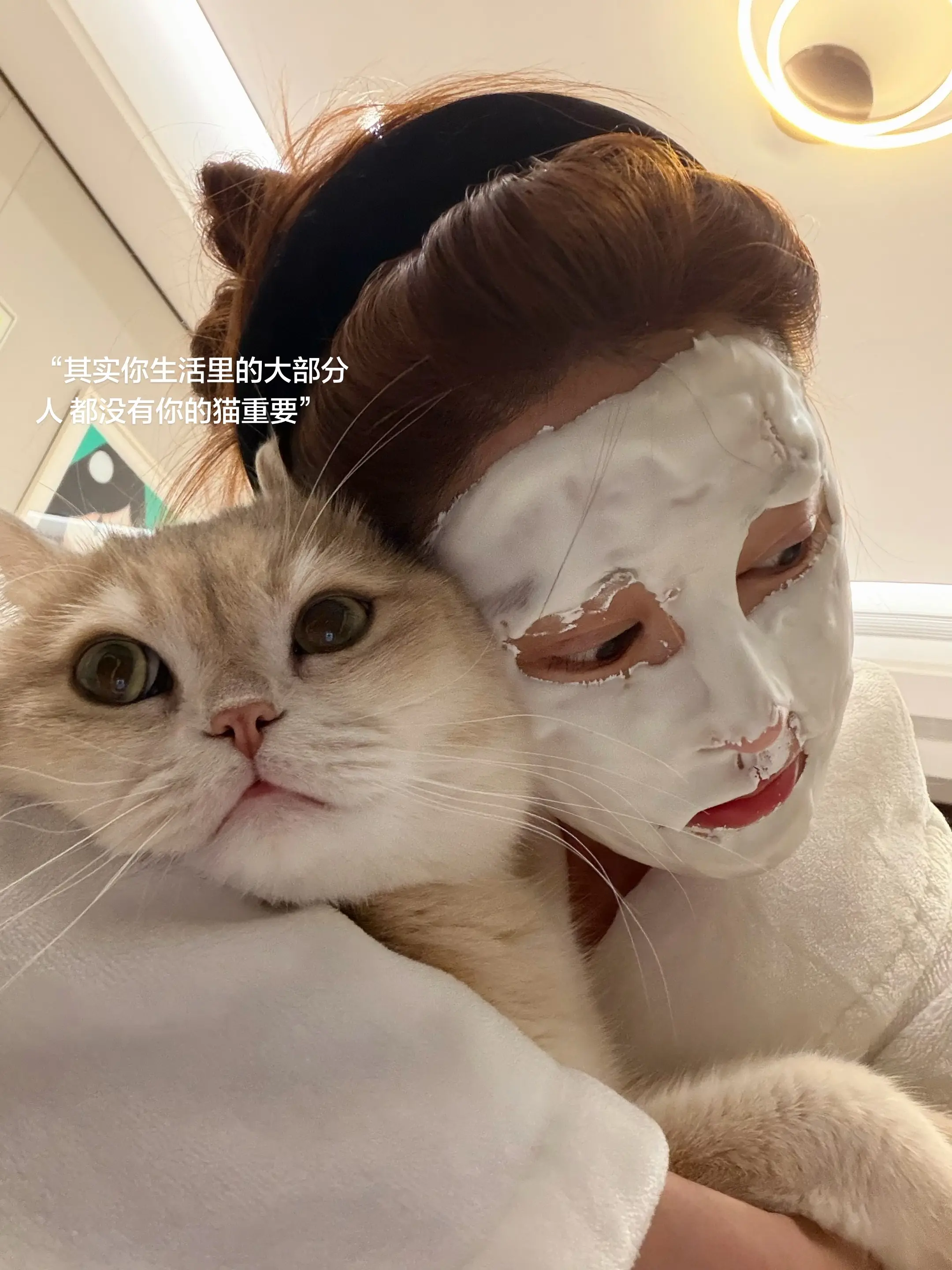 其实你生活里的大部分人 都没有你的猫重要