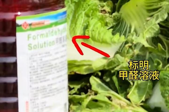 河北康保县白菜收购商为规避长途运输损耗、降低保鲜成本，私自将大白菜根部蘸不明液体