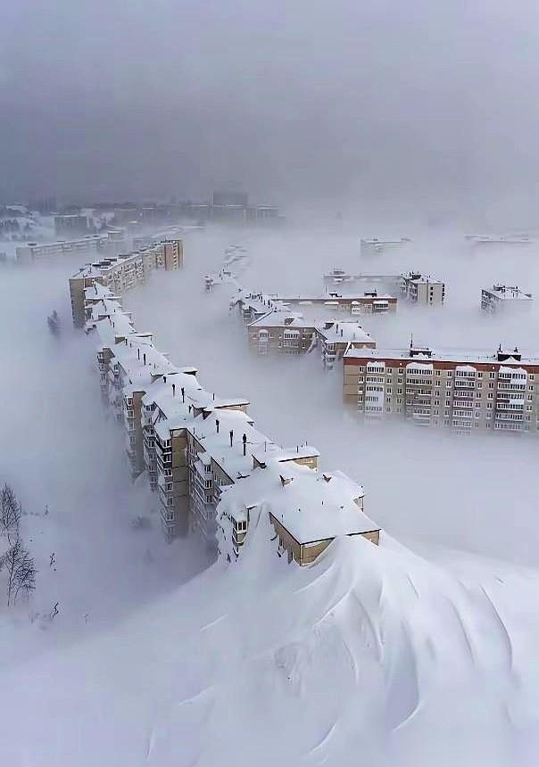 要我说，这事儿简单了。
那个很有名的西贝贾老板，还有那些为预制菜摇旗呐喊的专家们