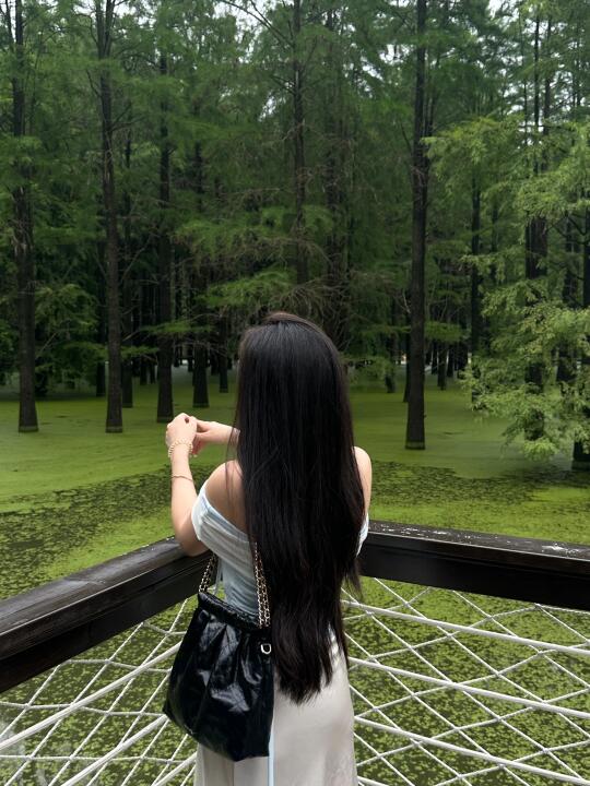 杭州｜青山湖 🌳满眼葱郁绿色的治愈🍃