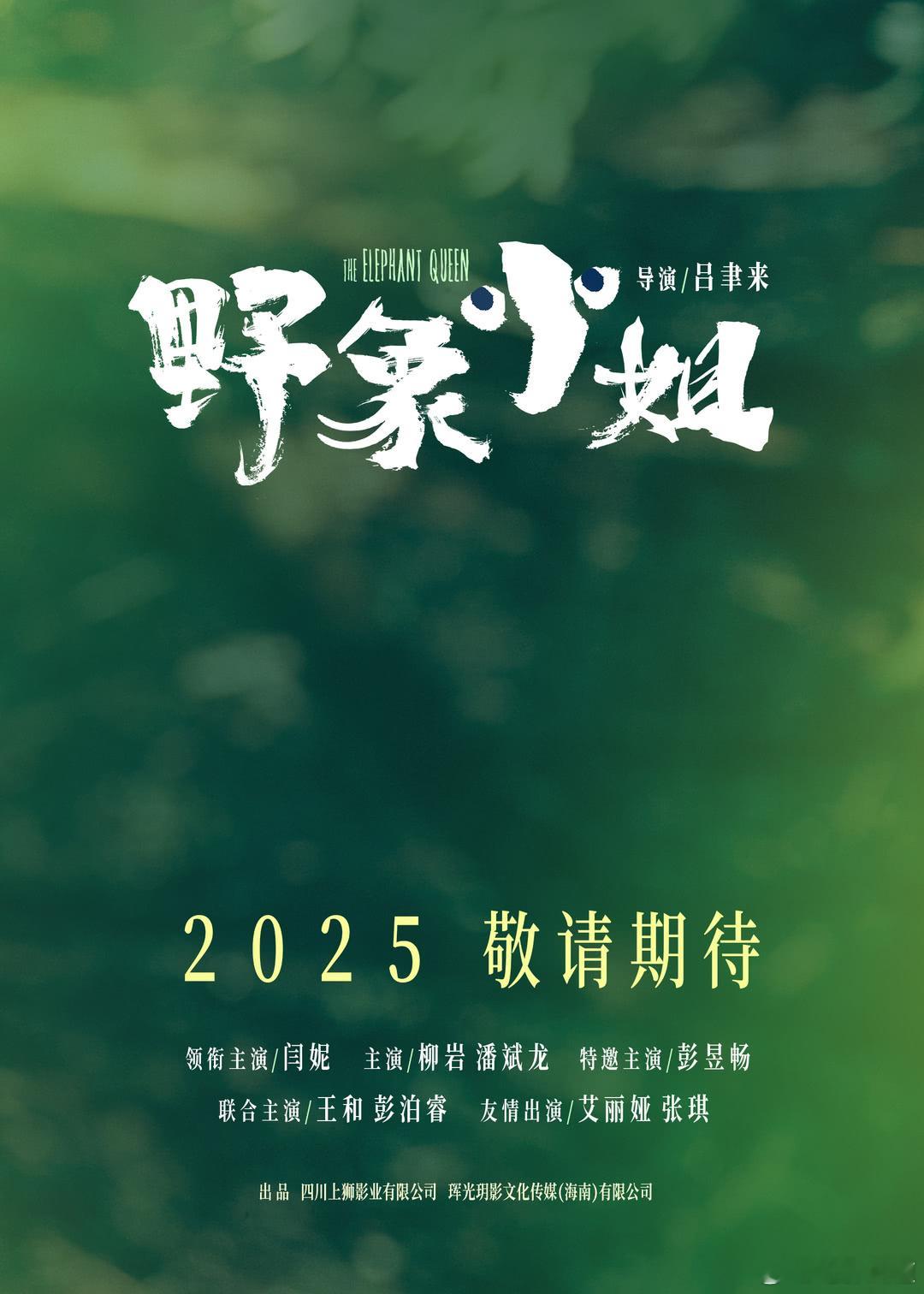 大胆预测今年上海国际电影节主竞赛单元金爵奖入围国产片：《野象小姐》闫妮，柳岩《入