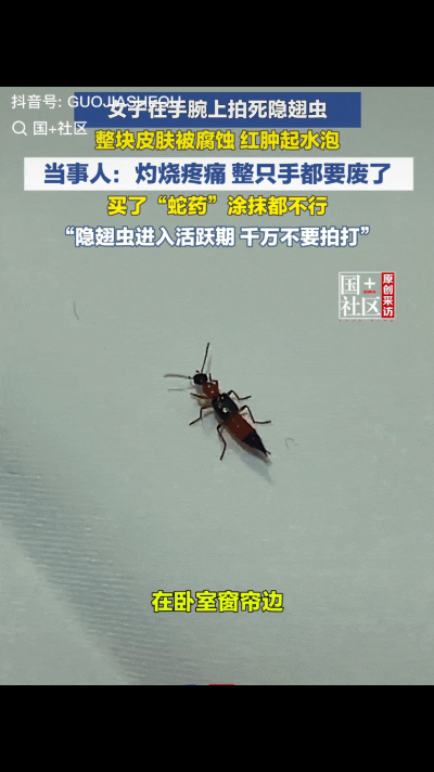 浙江，女子在卧室的窗帘边，突然觉得手腕处传来一阵轻微的瘙痒，看见是一只虫子就一巴