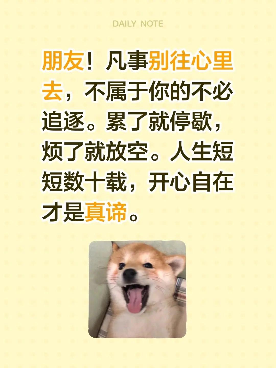 蓝光心里话。我评论了@林善泉 的作品：朋友！凡事别往心里去，不属于你的不必追逐。