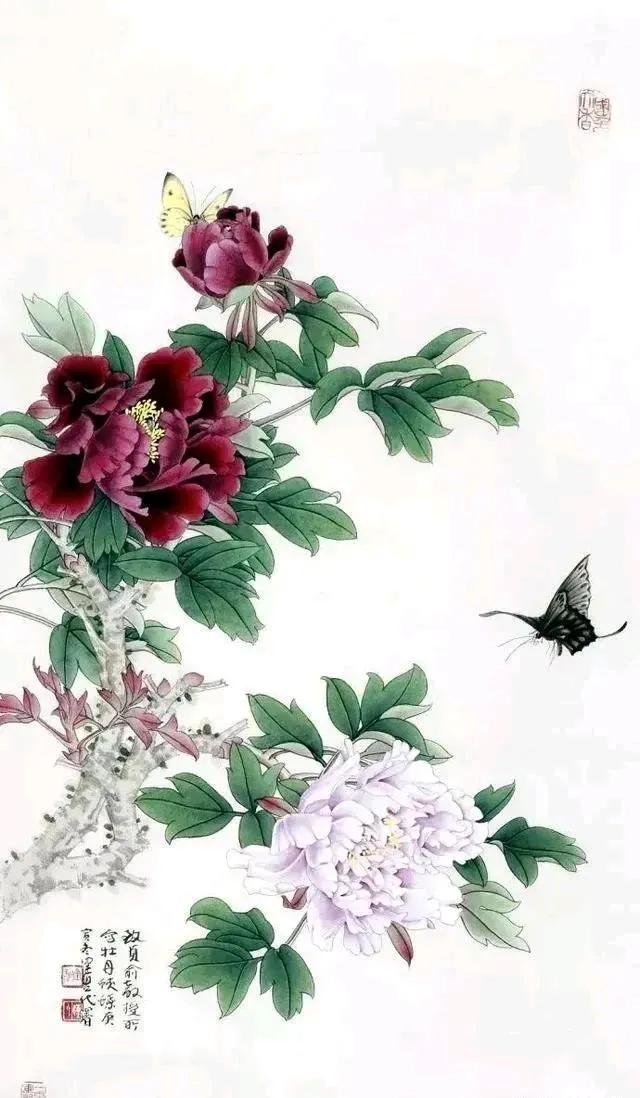 名家画牡丹，赋色妍艳，风格独具，极富情趣！