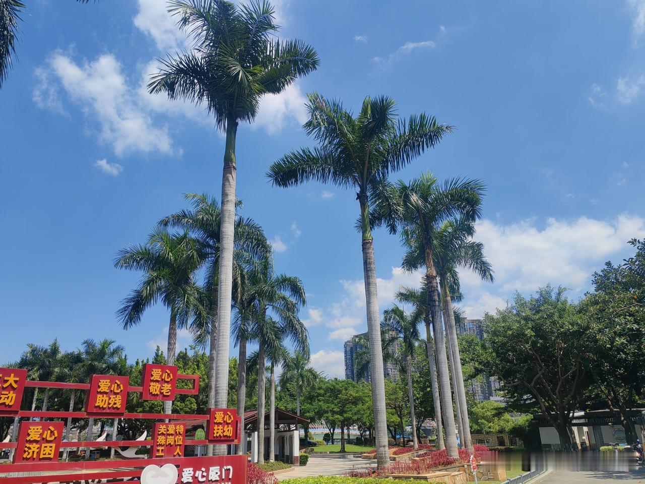 蓝天白云、秋高气爽—厦门银湖公园