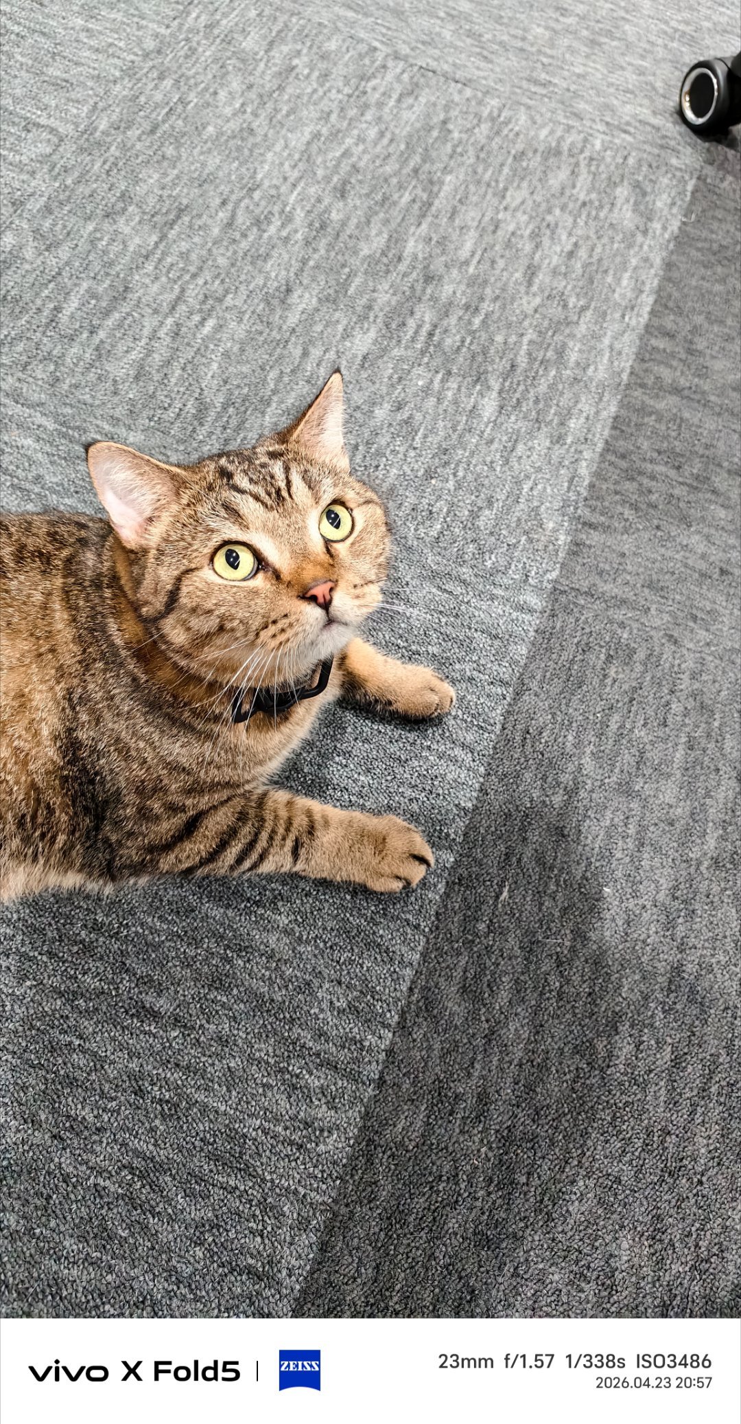 感觉丢丢这个压力有点大啊这血丝这么重 