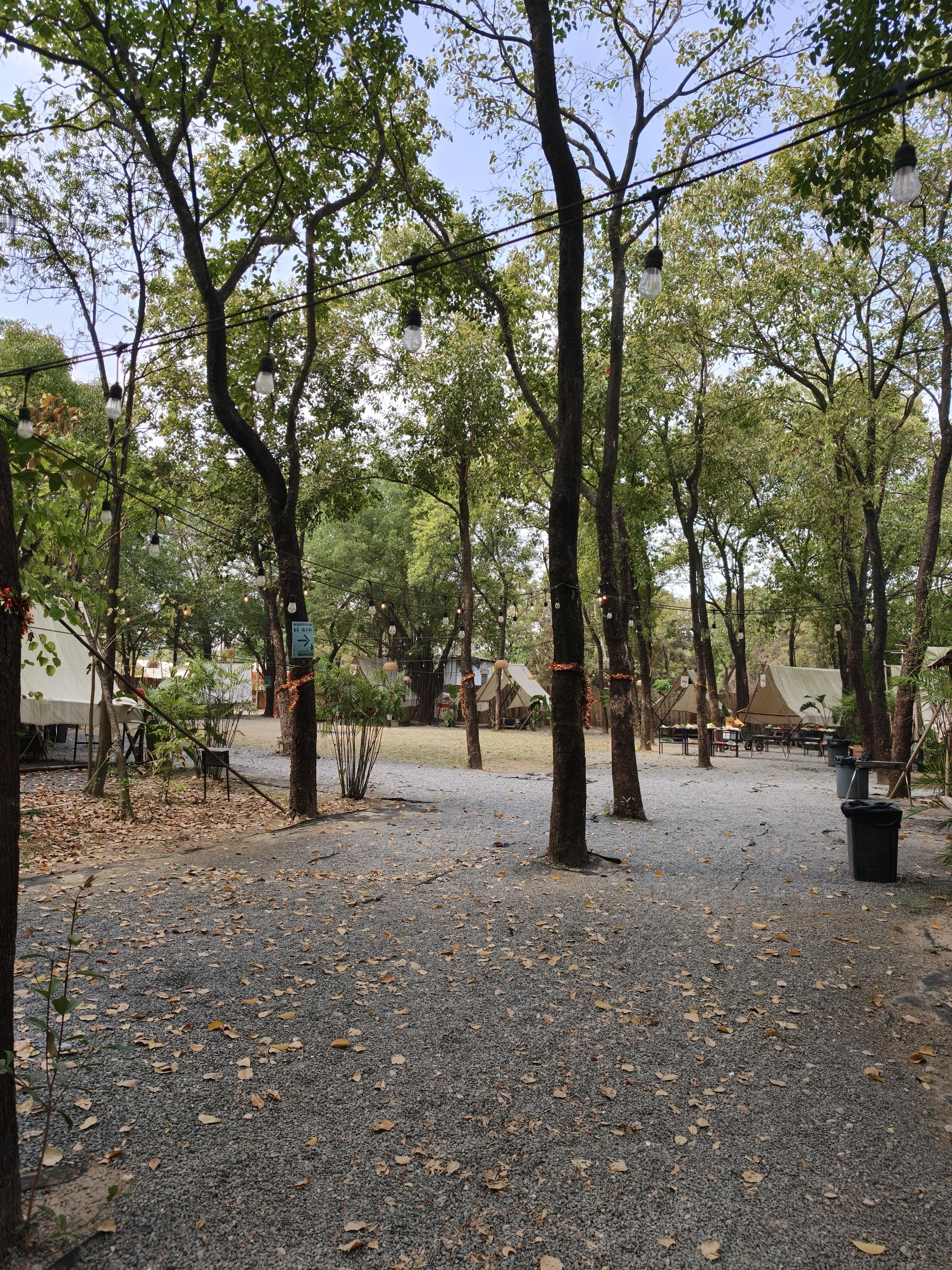 今天团建，忍痛没选杰灵的很野露营地，来的广州的一个露营地。虽然这里有炒菜，有真人