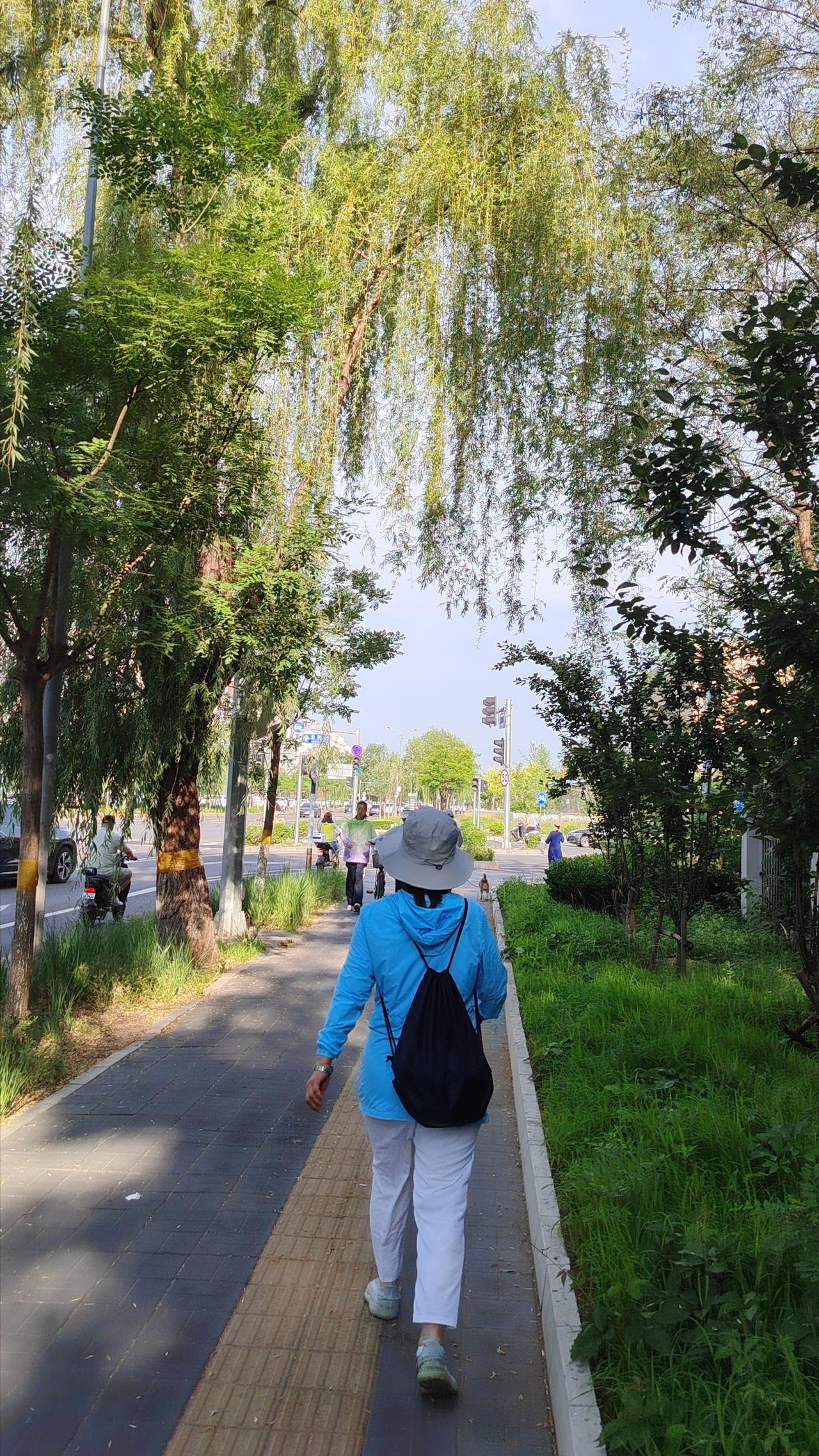 你现在还会过520吗面对“现在还会过520吗”的提问，答案早已超越了简单的“过与