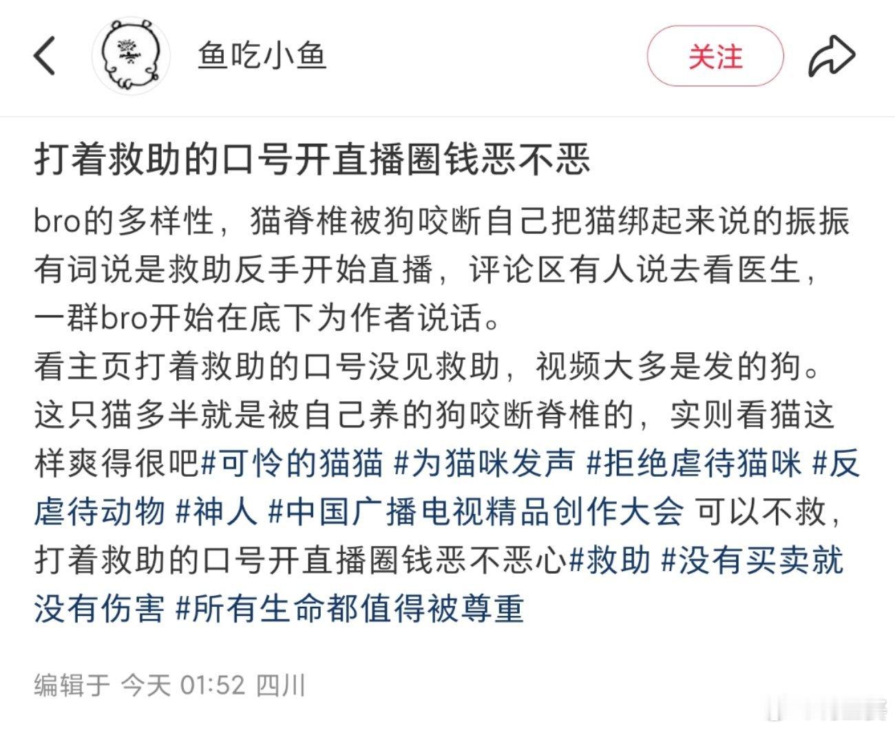 -把脊椎被咬断的小猫用胶带绑在泡沫上救助？？？ 