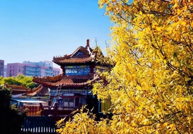 元朝和清朝，同样是封建王朝，对待言论的态度咋就这么不一样呢？
元朝那会儿，你敢骂