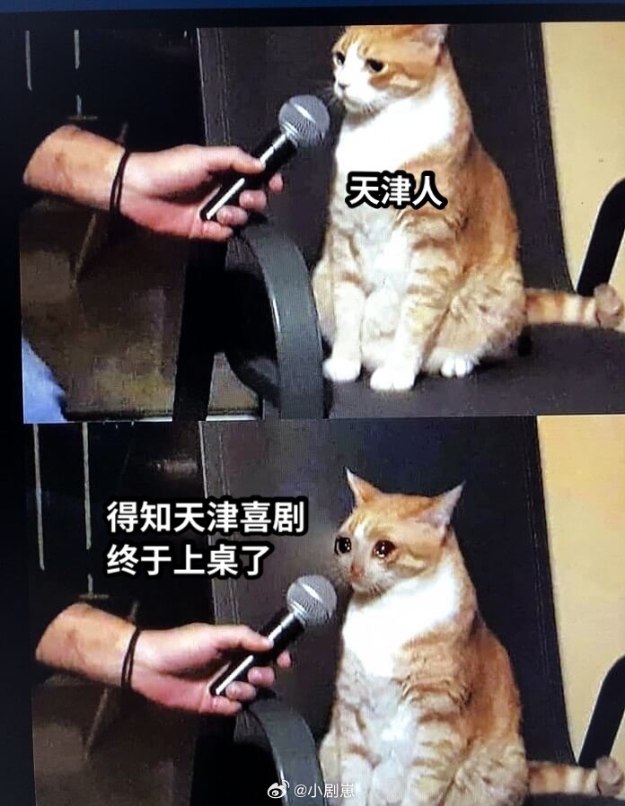 脱缰者也入围上影节金爵奖曹保平新片玩点儿抽象的郭麒麟新电影《脱缰者也》入围上影节