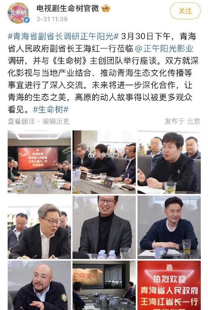 你说说生命树这规格