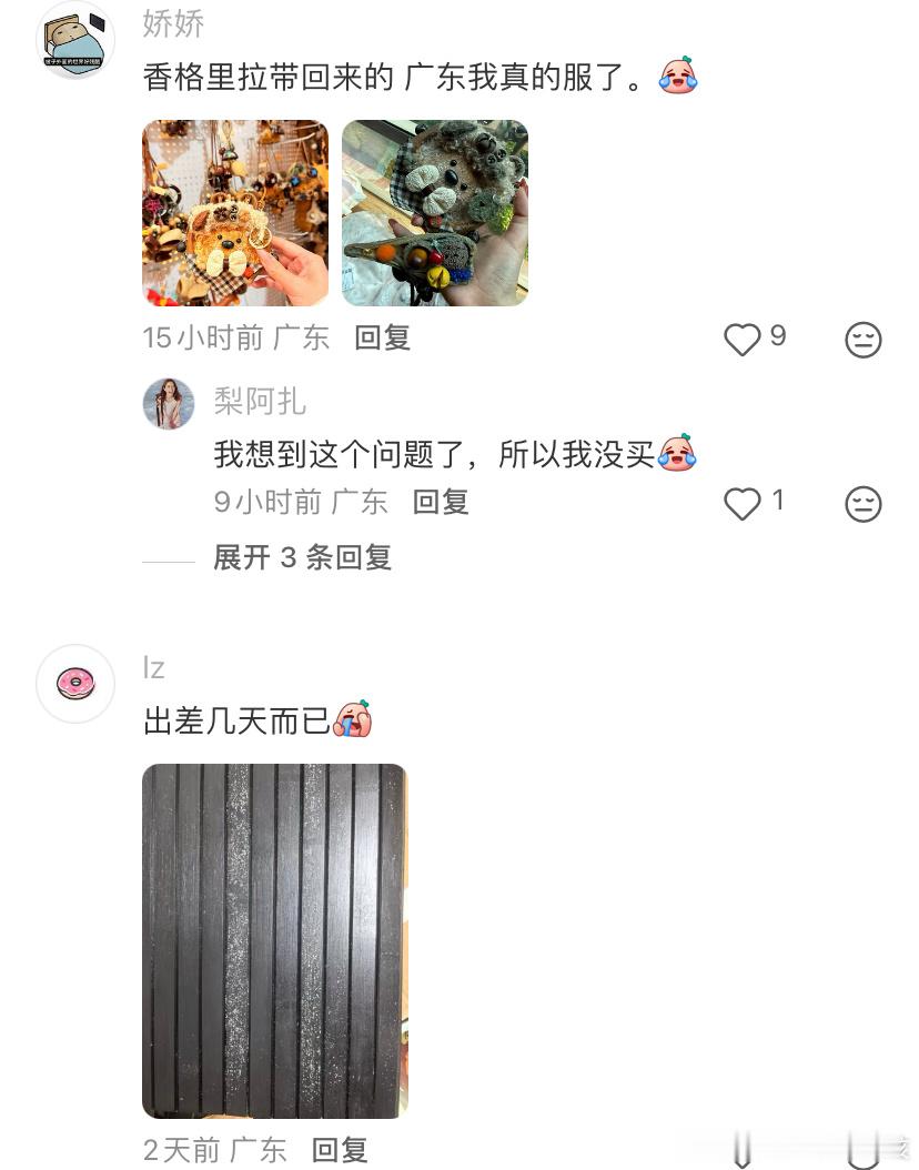 干辣椒冰箱贴在广东可以“养”出毛 