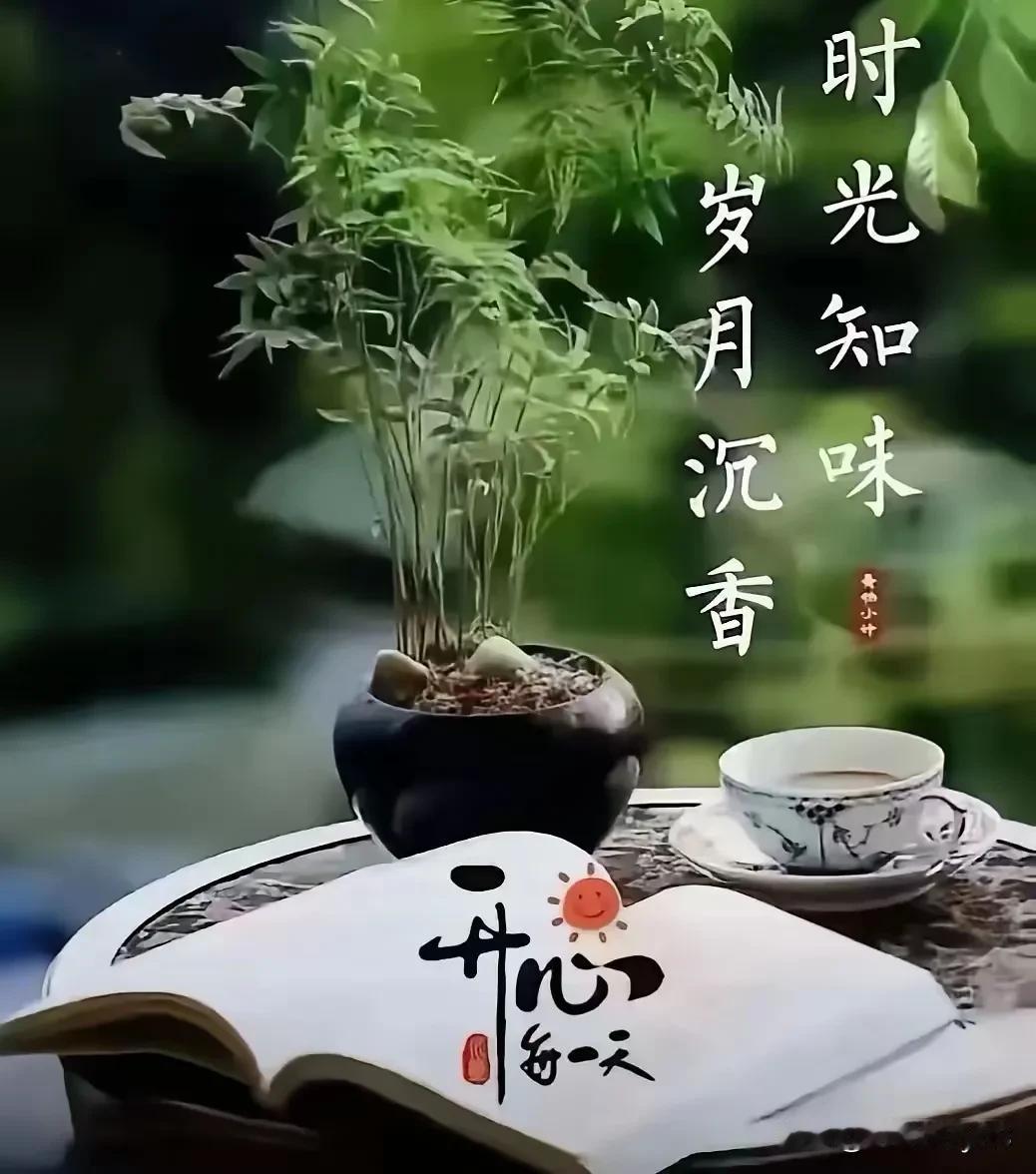现在的头条，可以说是对今日头条的写文章发文章，什么微头条，发短视频，可以说是不太