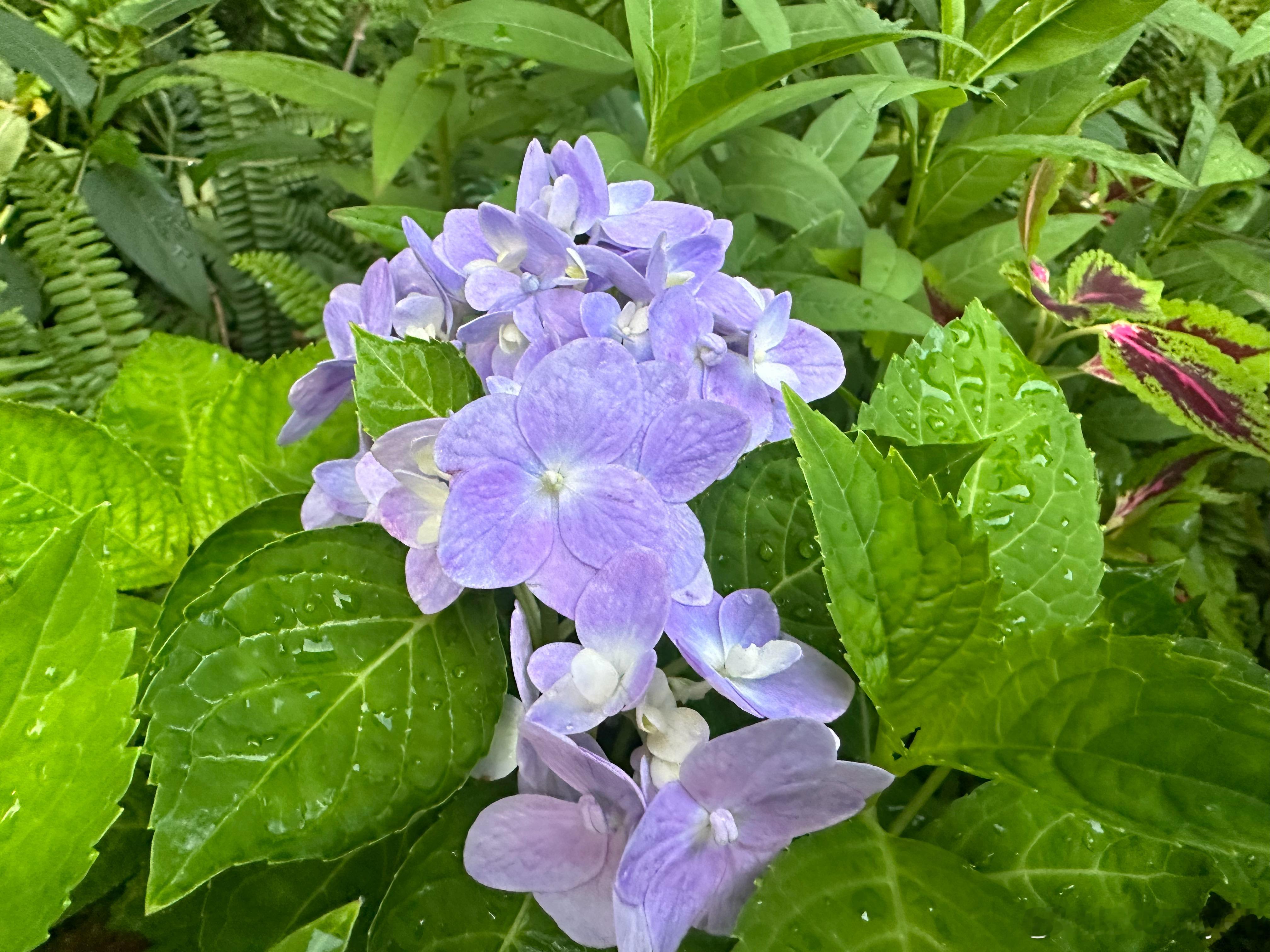 境由心生，物随境转心之所向，景之所在。我们看世界的角度，决定它给我们的温度，心态
