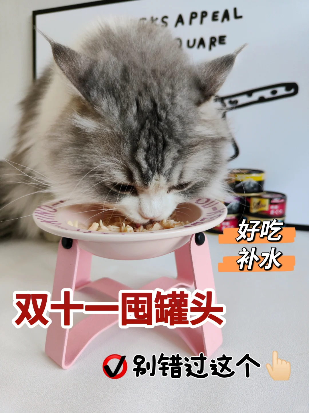 不爱喝水的小猫看过来