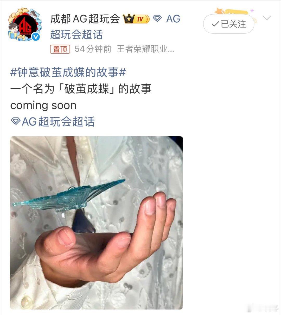 钟意破茧成蝶的故事历经低谷与质疑从未放弃赛场梦想，一次次调整心态打磨操作，顶住压