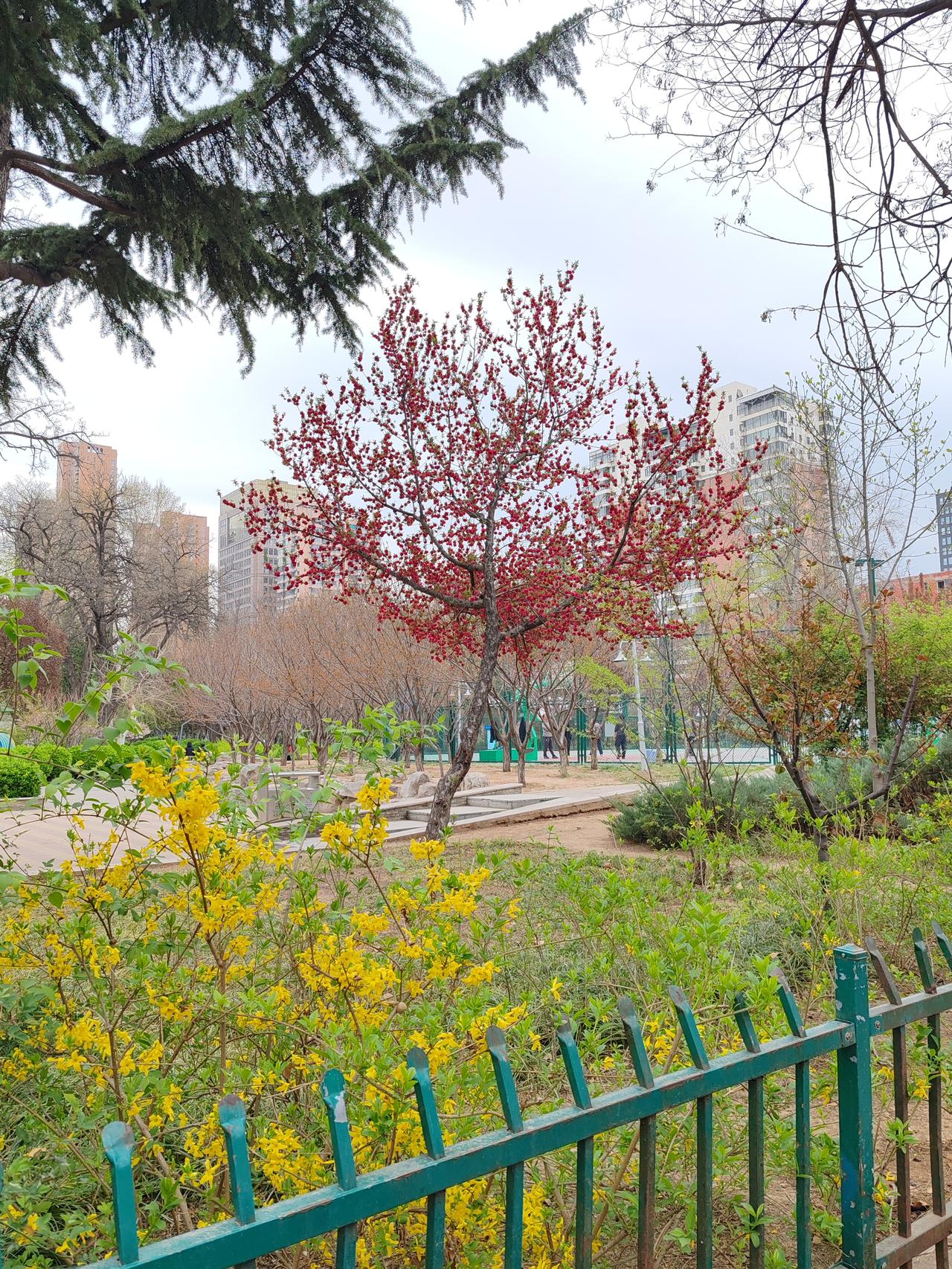 新能源车充电涨价因用油发电系谣言 最近网上流传新能源车充电涨价是因为“用油发电”