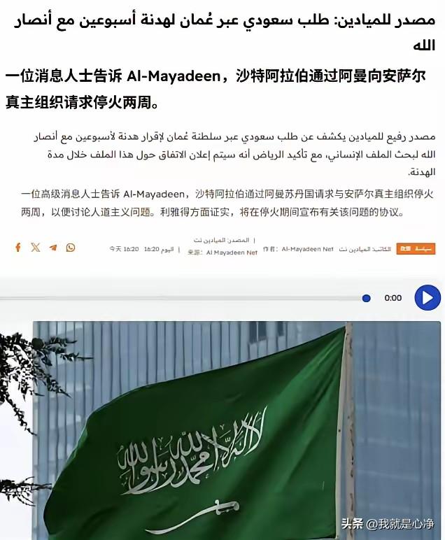 阿曼现在变成了胡塞武装的调解人了，之前胡塞武装通过阿曼和美国特使联络
胡塞武装作