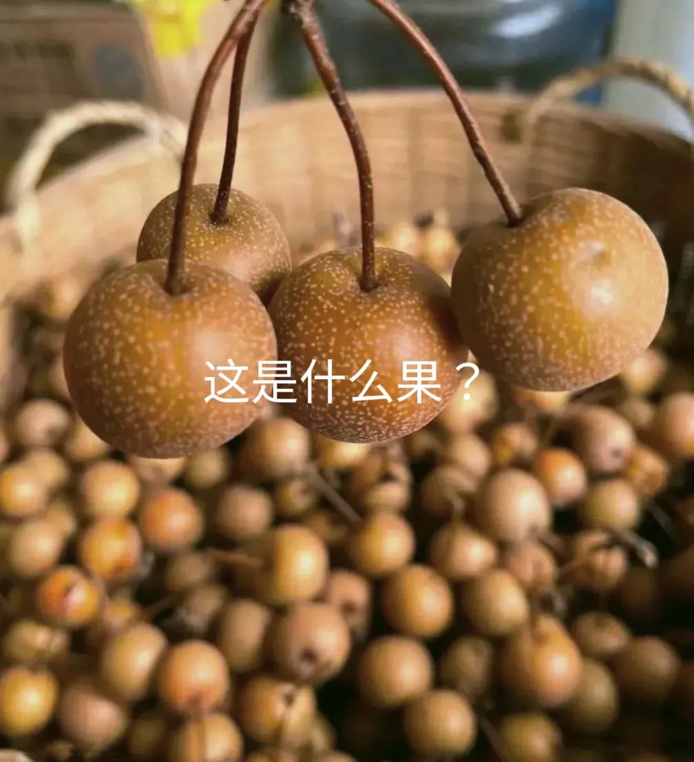 邻居婆婆去挖野菜，在山上摘了这些野果，给我送来一些，我从来没有见过，到底能吃吗？