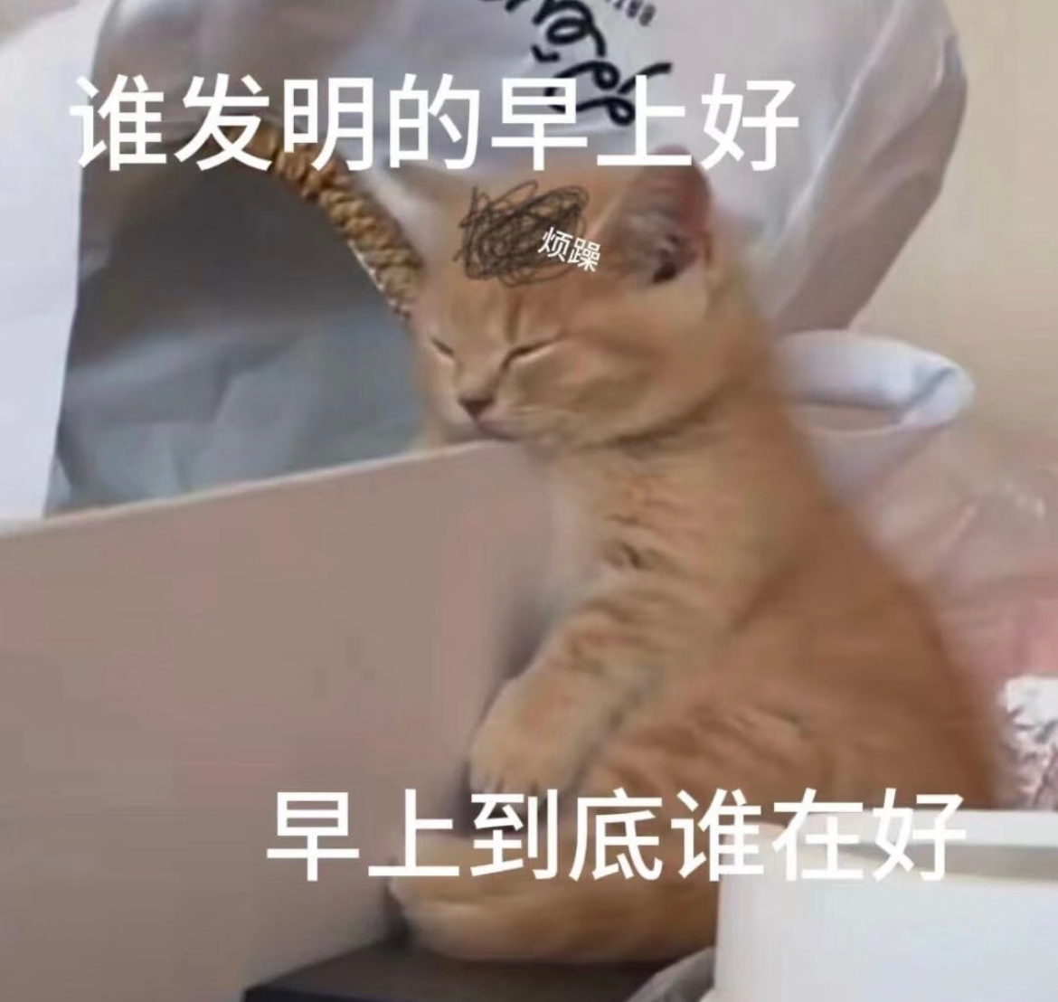 早上坏，能不能有个发明，可以让人帮忙早起的，然后我可以帮你熬夜早安卷妹的唠嗑