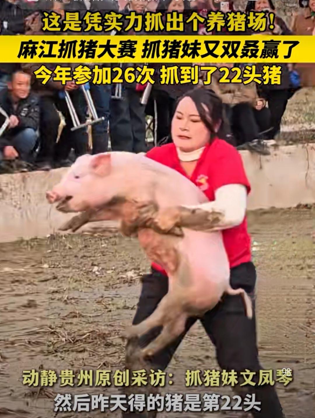 贵州抓猪妹一年抓22头猪成“冠军专业户”，网友：凭实力抓出个养猪场

12月25