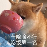 棉棒捧体育