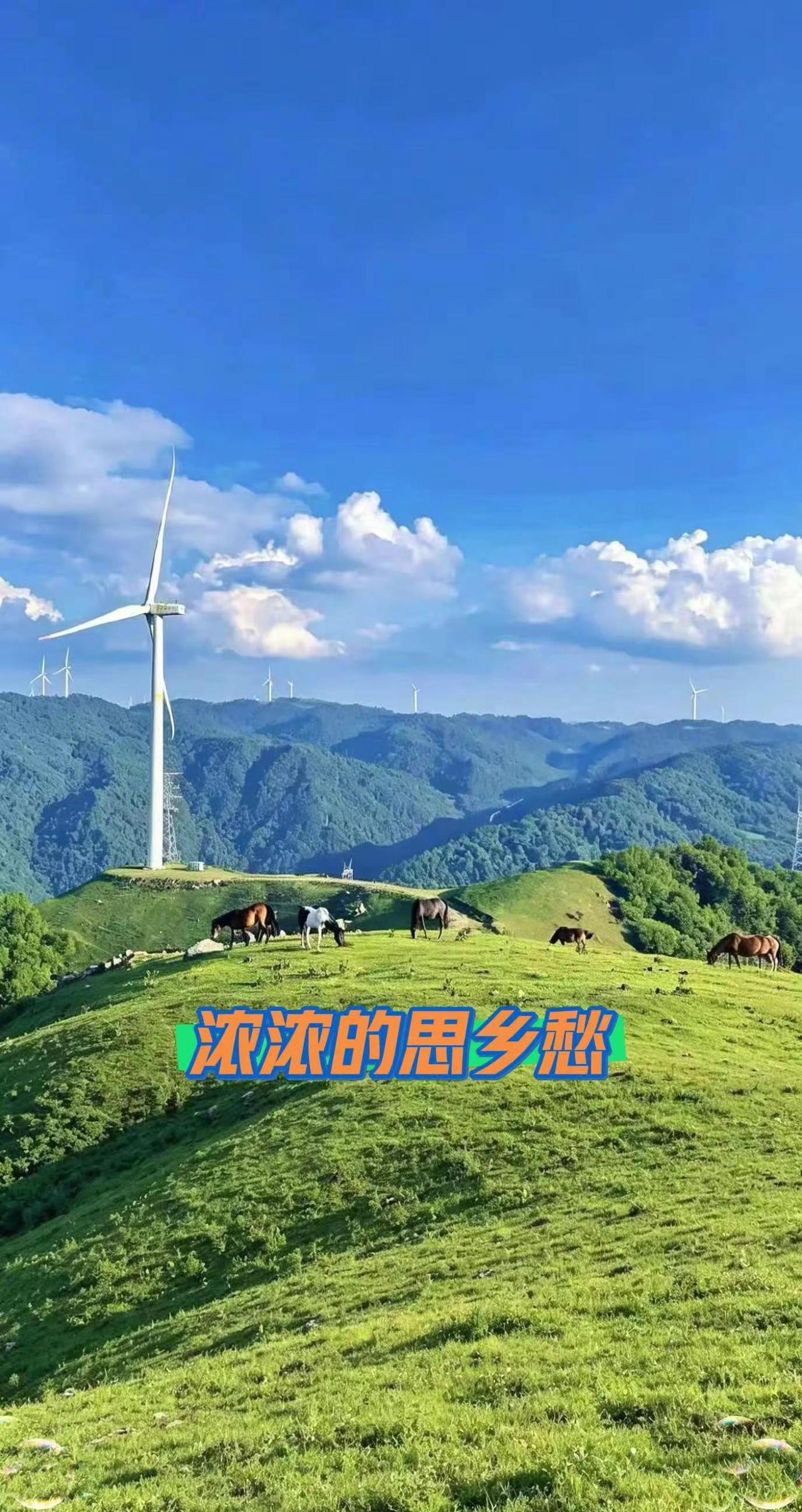 儿时最盼村里过会搭大戏，黄土夯筑的露天戏台，松木梁柱晒得黝黑。锣鼓咚咚敲破暮色，