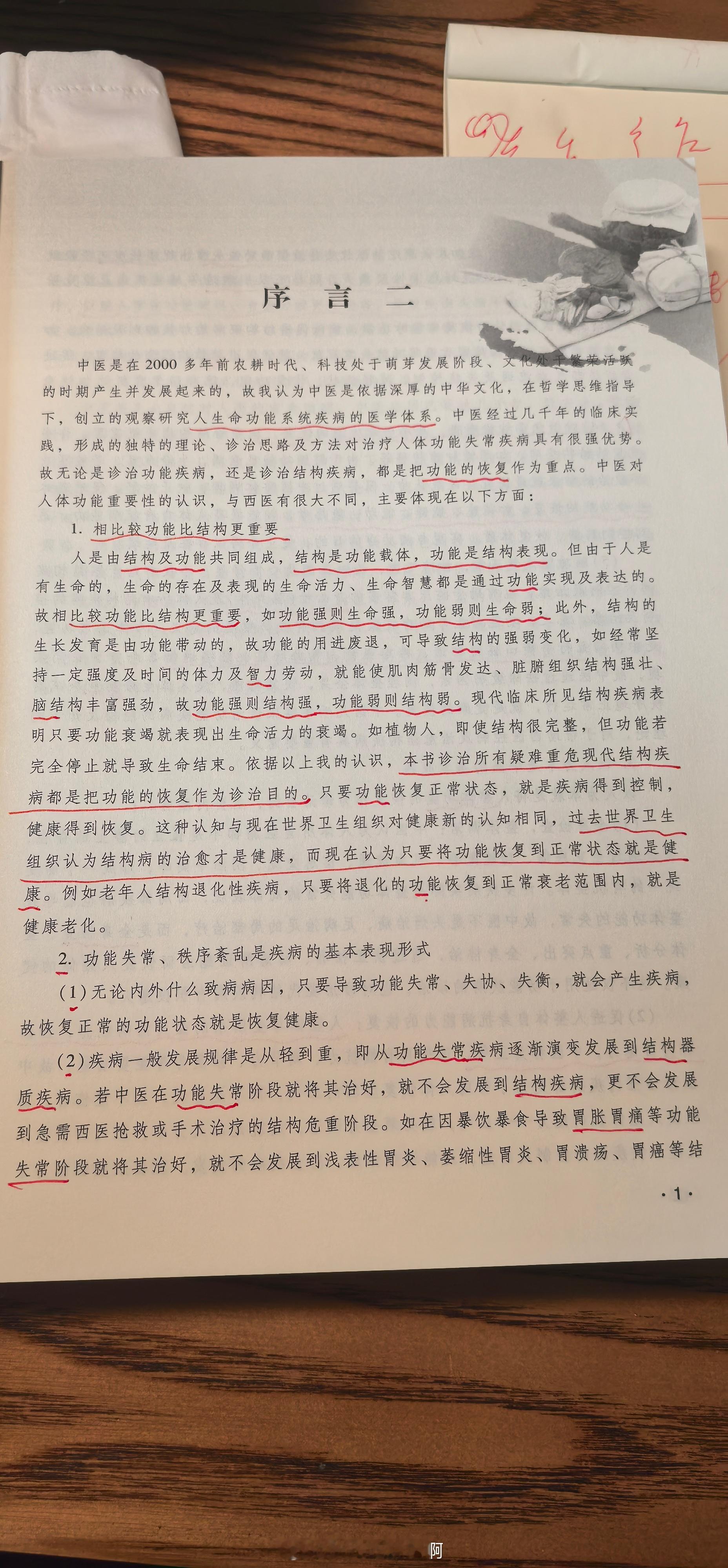功能比结构更重要——人是由结构及功能共同组成，结构是功能载体，功能是结构表现。但