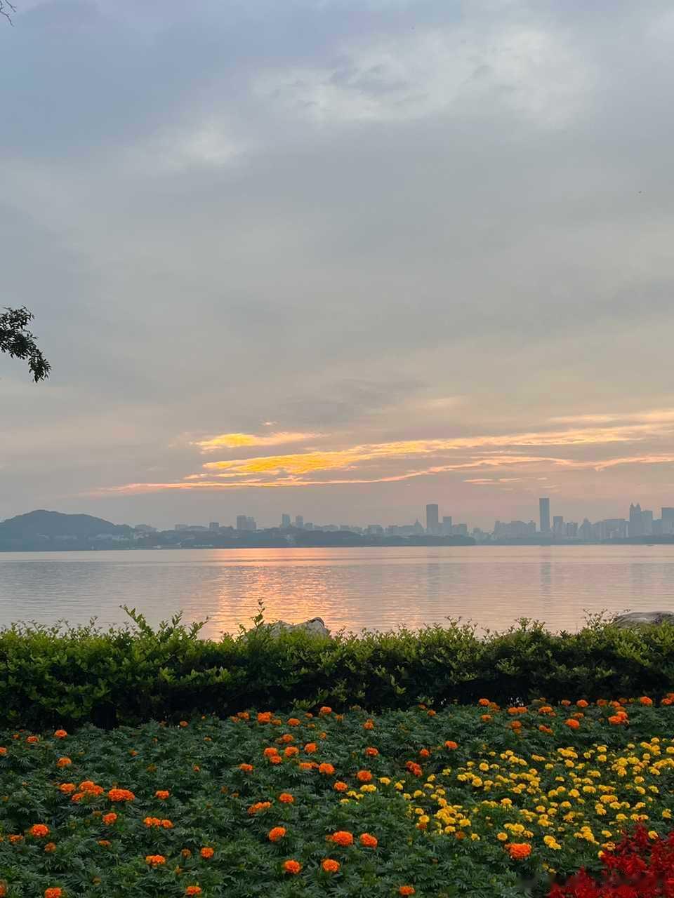 INFJ15007｜分享Bot早上好，我去武汉玩啦！想和大家分享东湖的日落🌅#