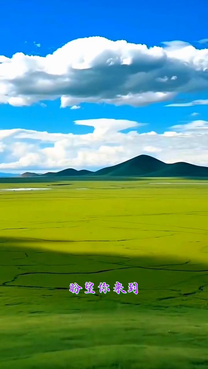 《原香草》。
青青原香草，盼望你来到。喝上一杯马奶酒，吉祥陪伴直到老。离离原香草