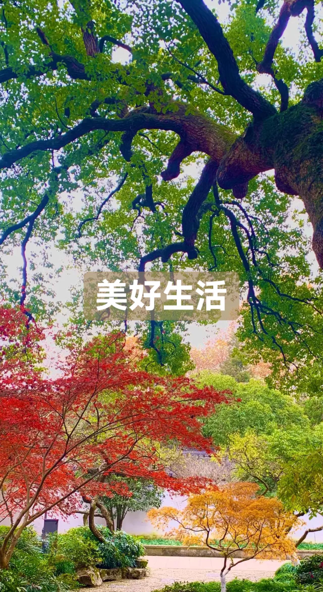 纪录美好生活 秋日生活打卡季