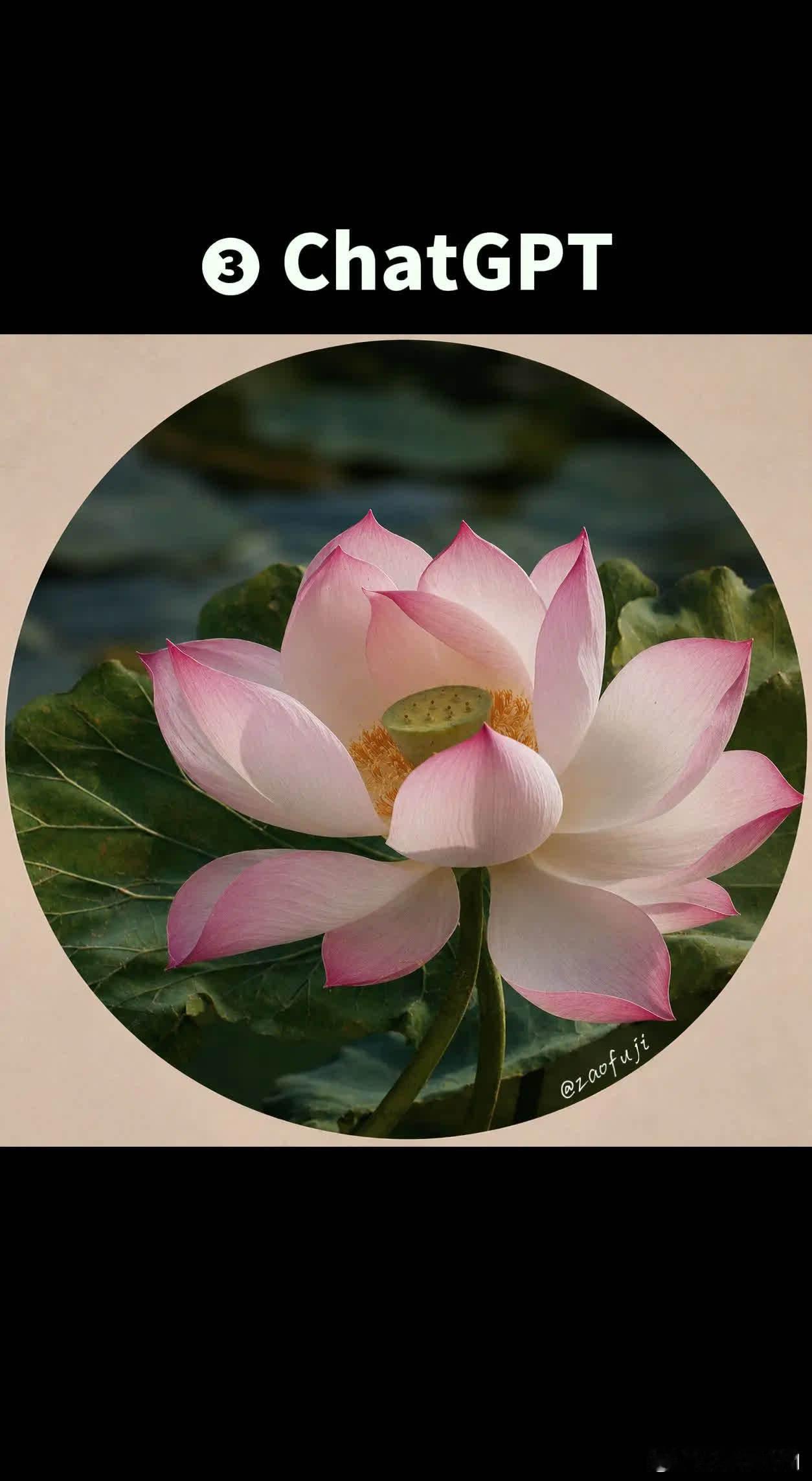 用AI打开：古今第一工笔荷花、千年最美芙蓉——南宋小品画《出水芙蓉图》，绢本设色