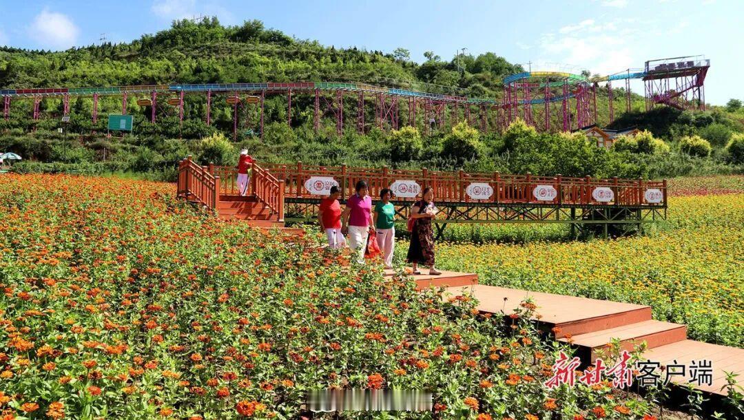 清水花海盛放引客来盛夏赴一场清水花海之约✨同城热点创作计划 清水北山生态景区百花