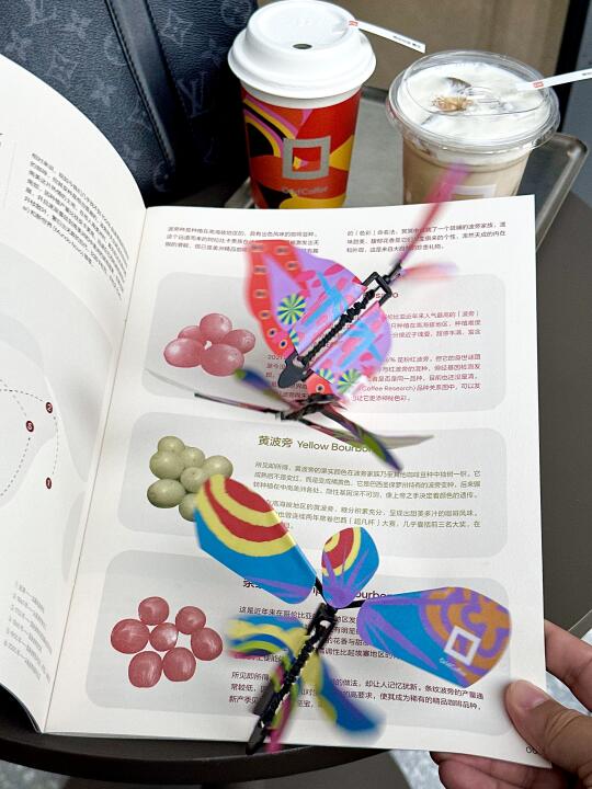 成都万象城！领到了闪蝶飞舞盲盒！！！