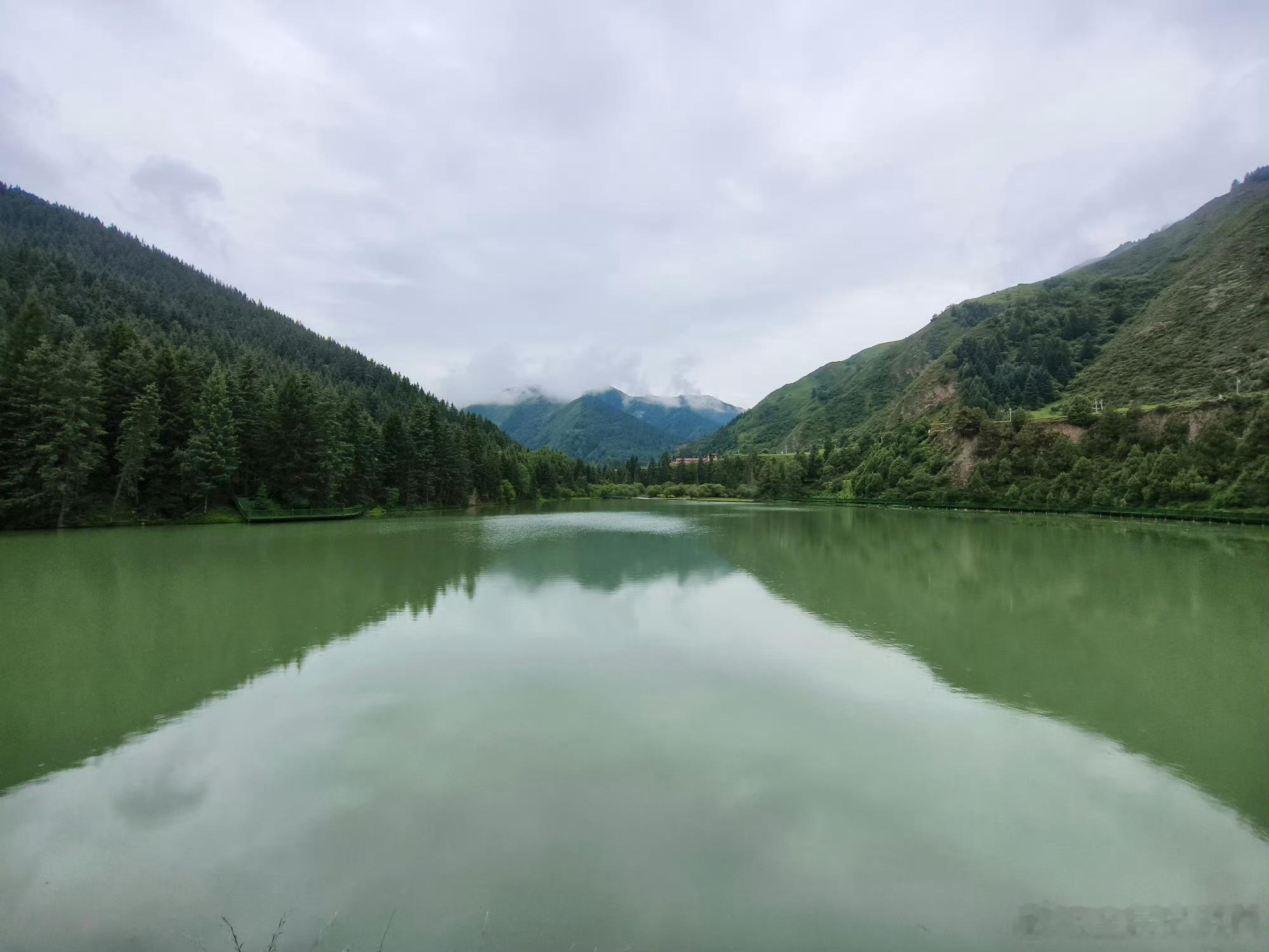 手机相册自动变壁纸的地方晨雾中的阿子塘湖、午后林间的光斑、草甸上星星点点的野花…