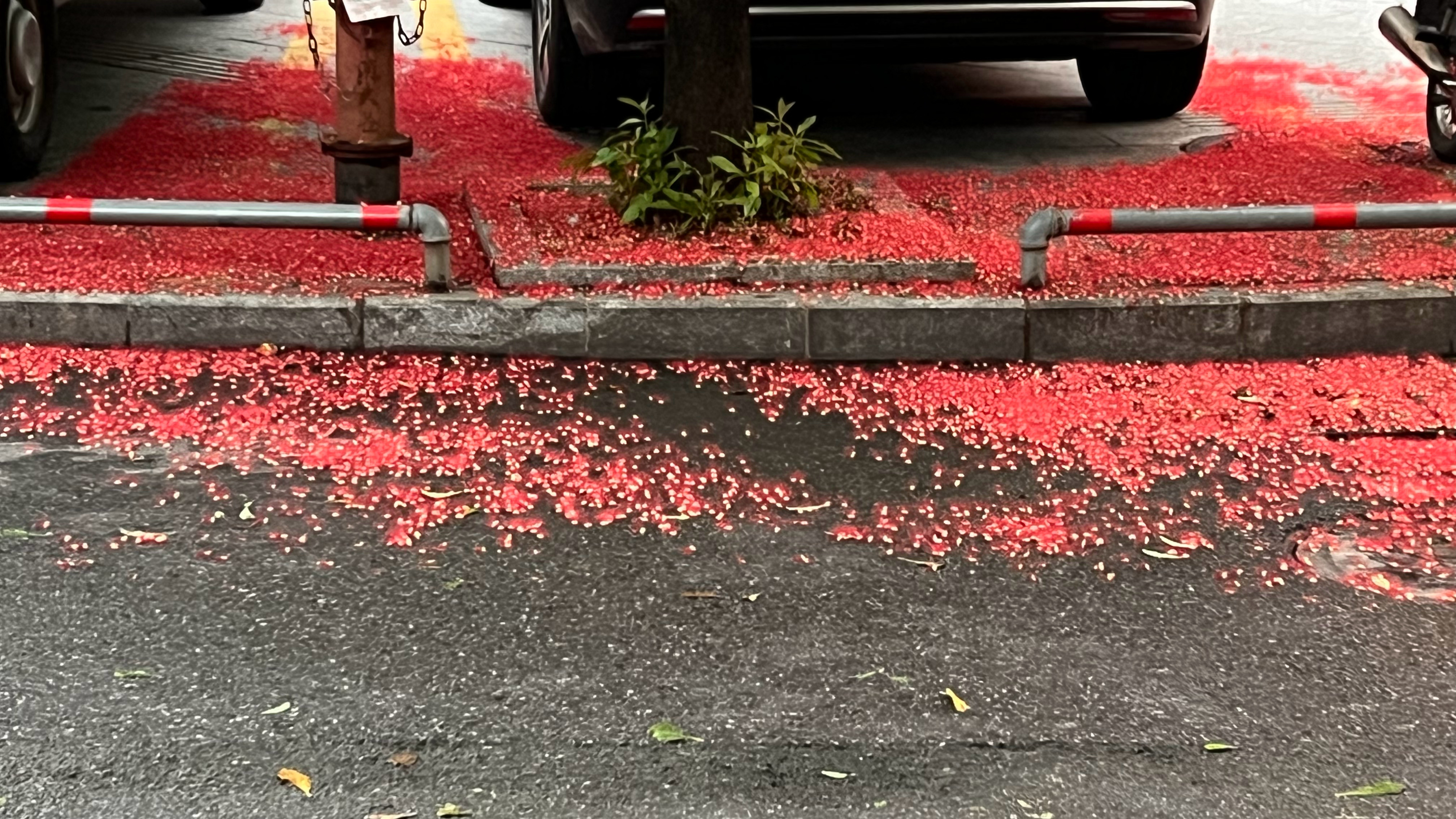 晚安！ 云浮·云浮新华书店(四阅店)