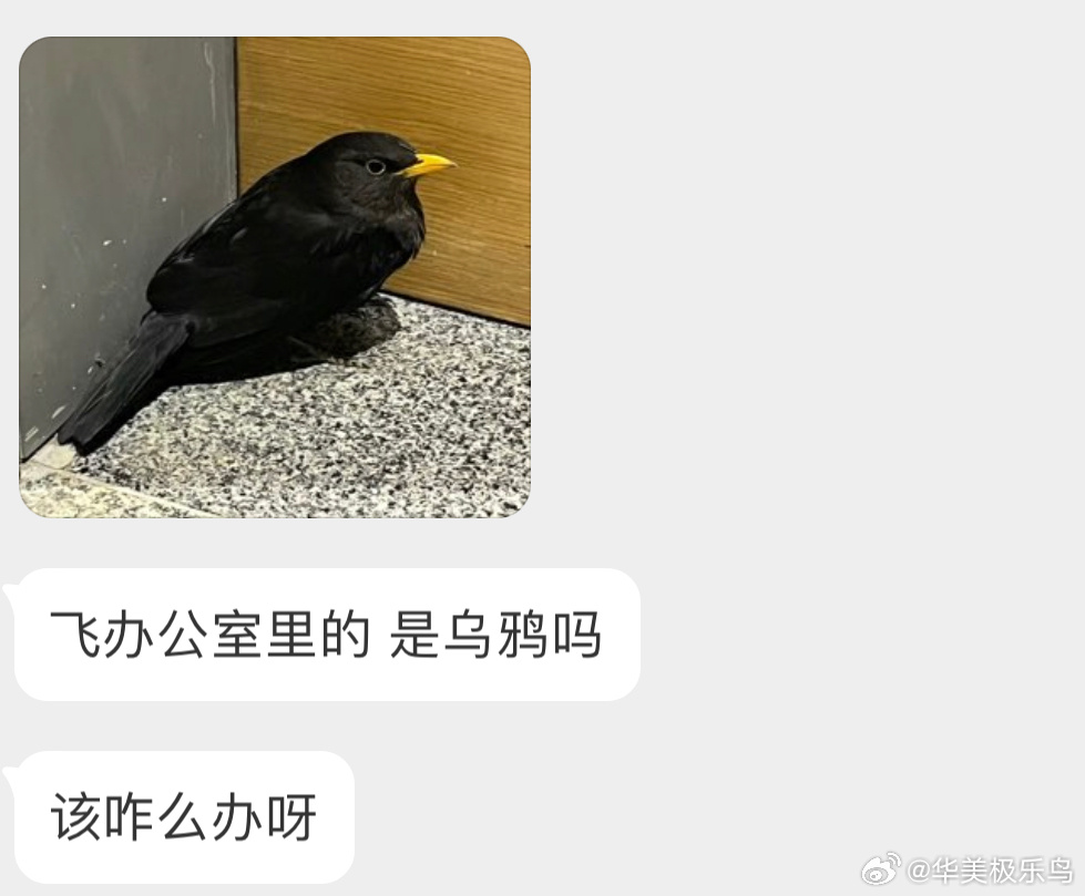 送分题环节是啥🐦，该怎么处理小天才说！😈 ​​​