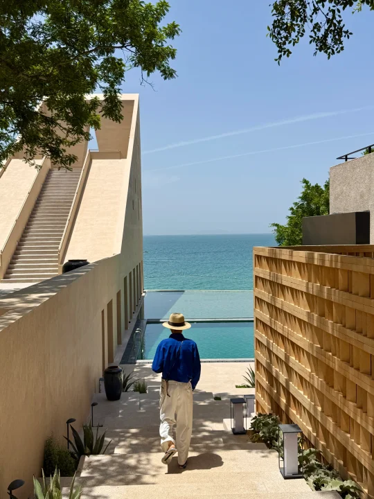 live我宣布！！深圳最度假的地方出现了！！