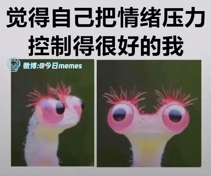 咋啦（9gag）今日meme 今日memes