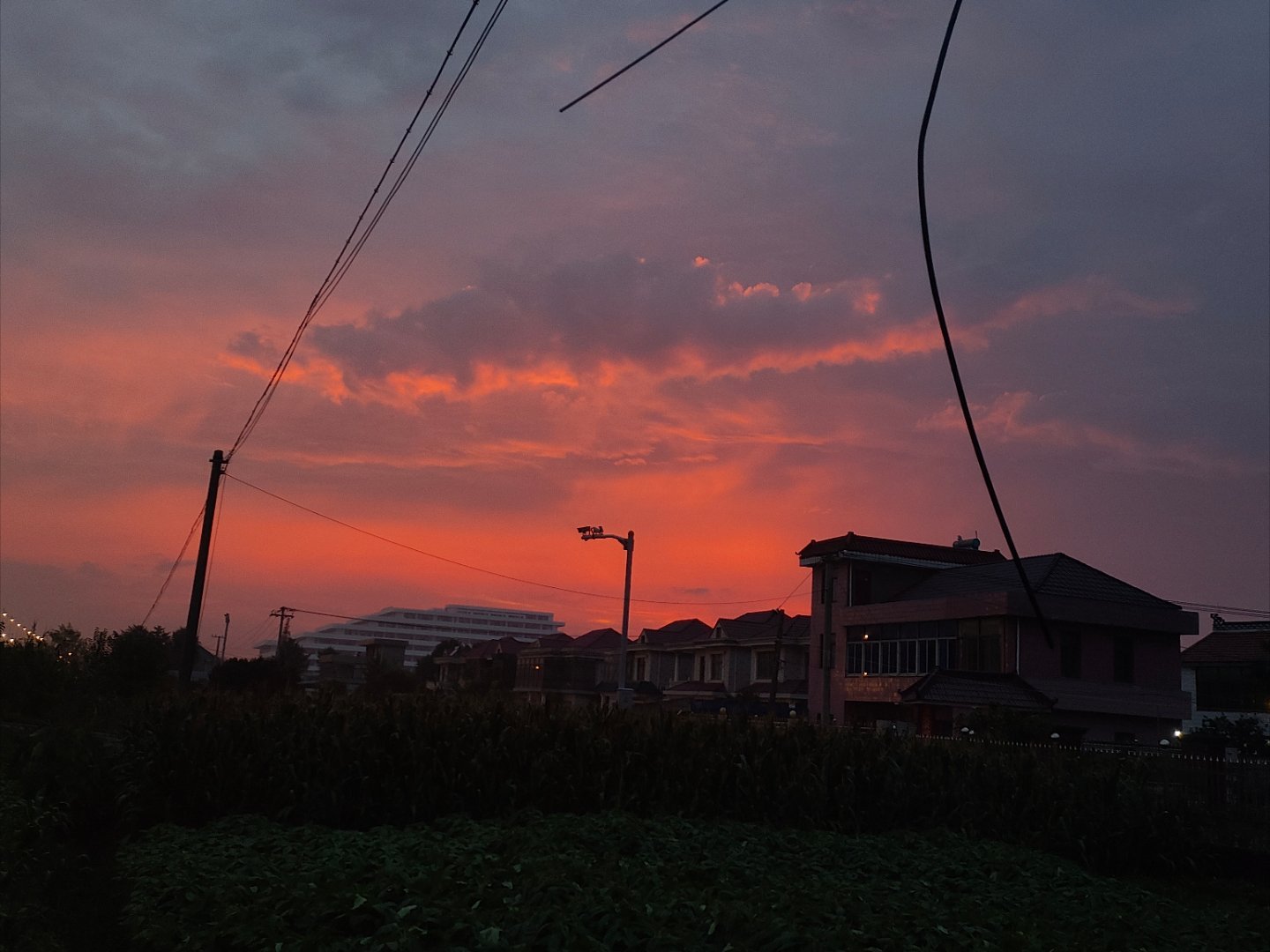 家→上海→医院🏥→家一天的奔波终于到家了。今天总体来说还是挺顺利的。回家路上还