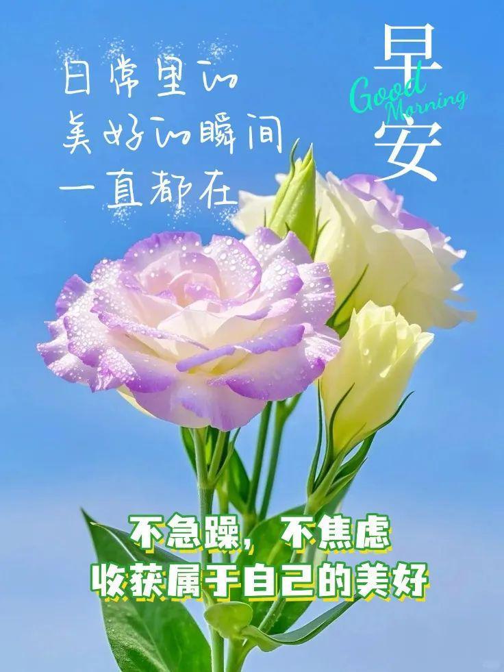 早安[超话]生活并非总是顺风顺水，但不必因此而丧失微笑。每一个不平凡的你，都会在
