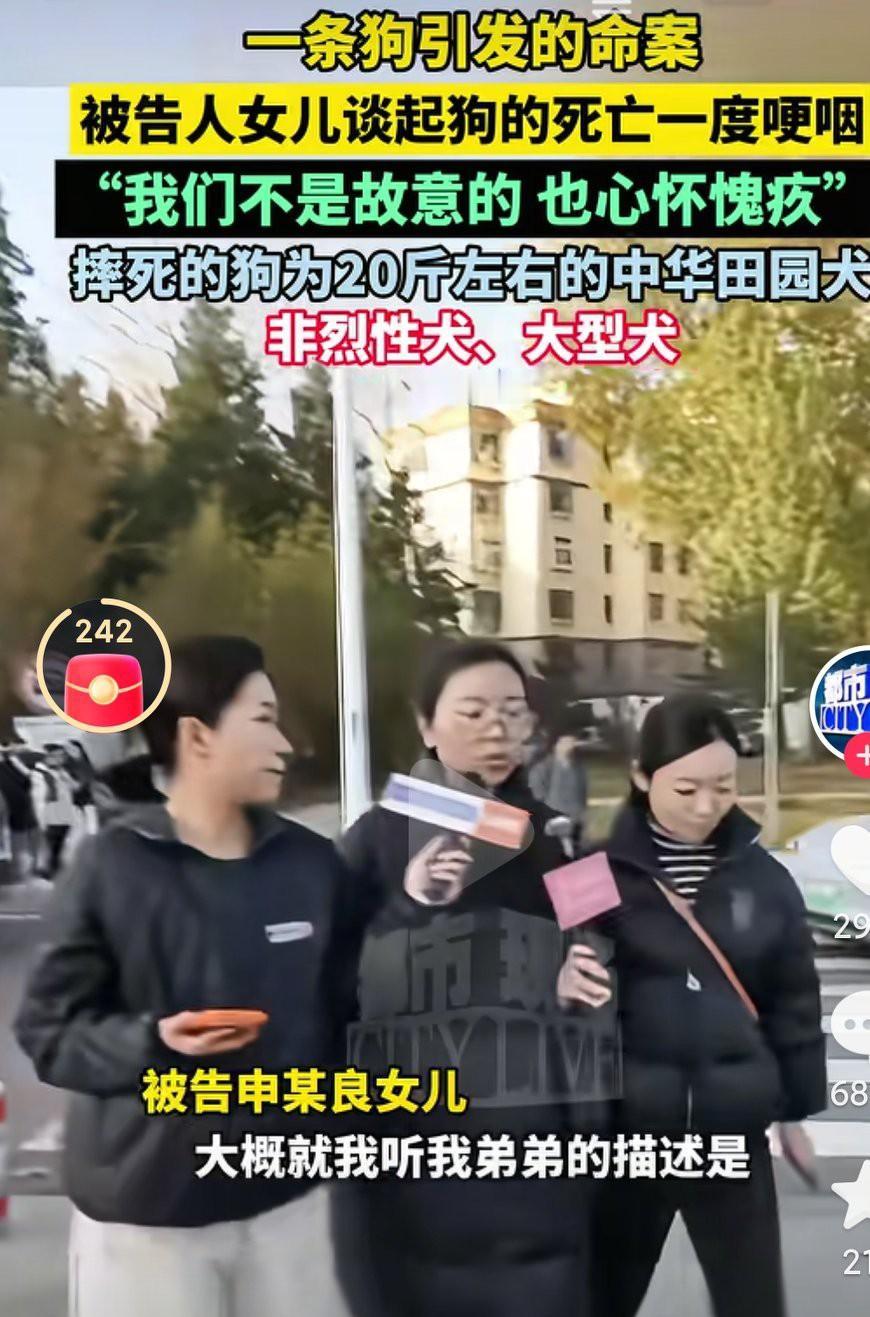 一条狗引发的命案，这个必须是正当防卫啊，必须是正当防卫，这样才符合大家的心愿啊！