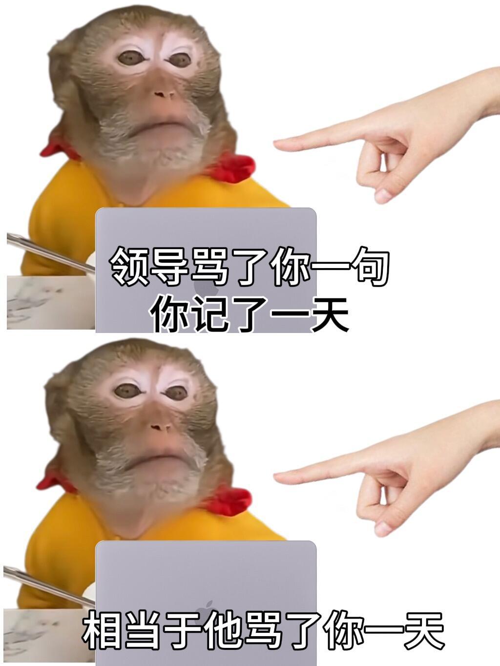 拒绝PUA生存指南人生不易对否定别人少责备自己别消耗自己 