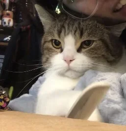 这就是我每天非亲它不可的一些理由