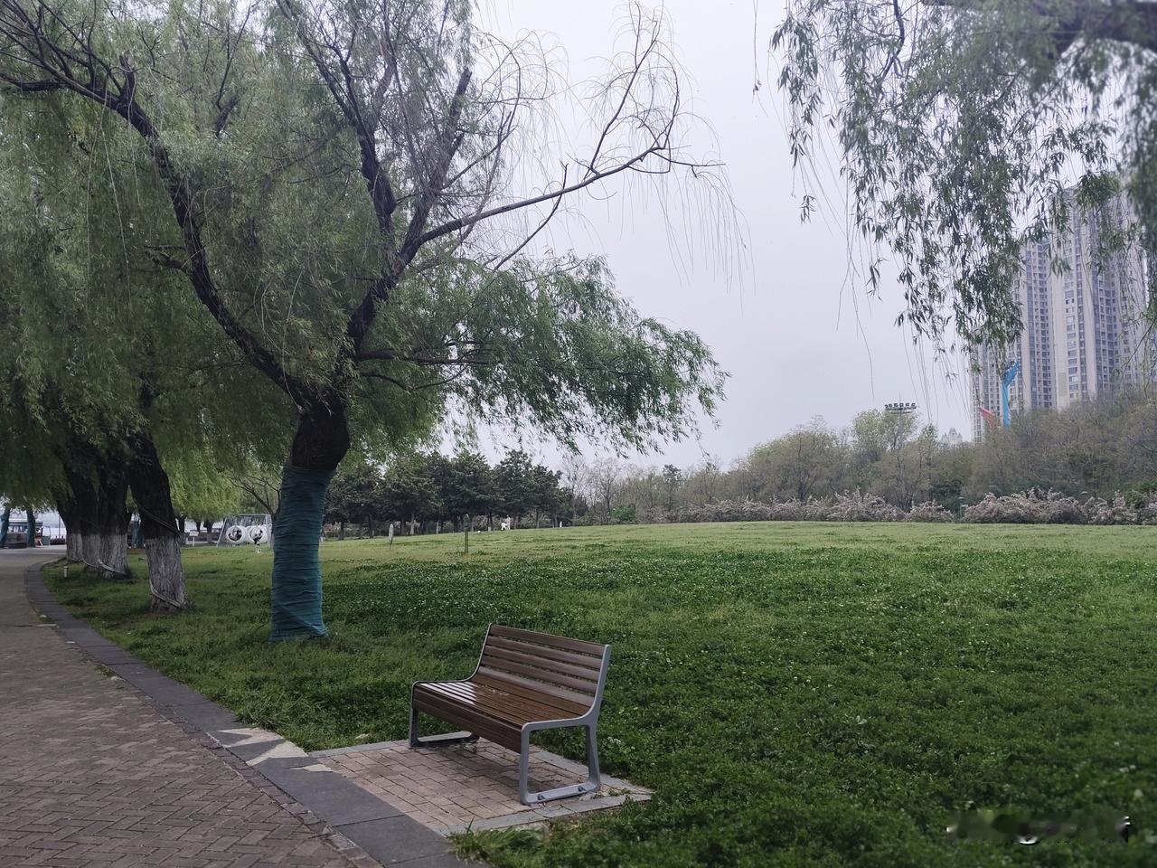 儿子小学时有个同学妈妈特别喜欢炫耀，不过她也确实有炫耀的资本。她家有钱，孩子学习