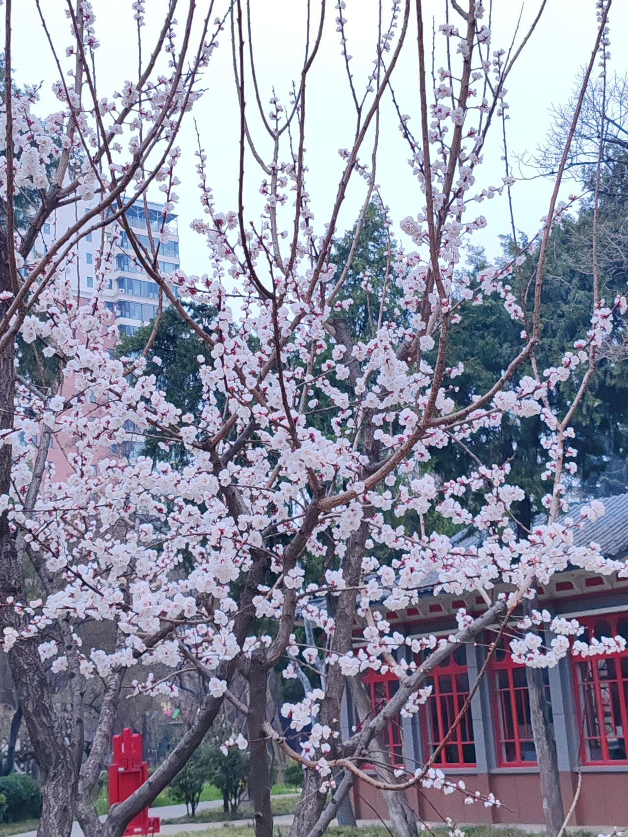 此上联“杏花醉烟雨”，宛如一幅诗意画卷，杏花在如烟似雾的细雨中沉醉，渲染出柔美、