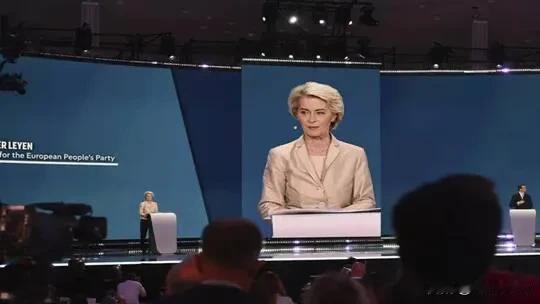 欧盟委员会主席Ursula von der Leyen承诺在2024年底前向塞尔