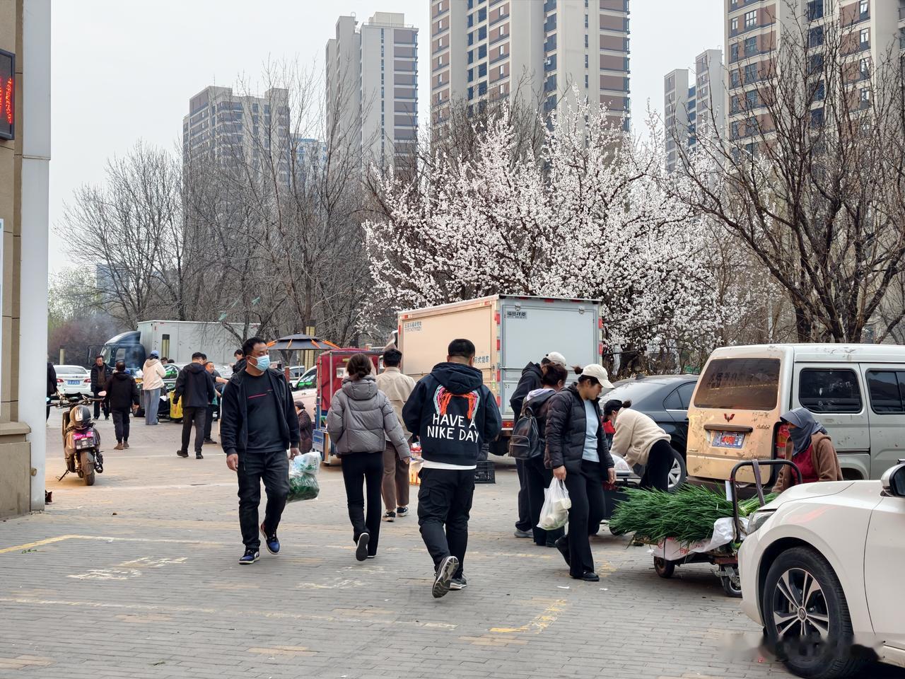 春风回暖，气温渐升，沈阳街头满满的烟火气息终于回来了。
 
坐标在沈阳市大东区望